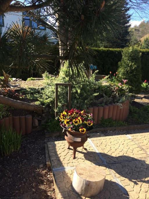Am Mescheriner Holiday home *